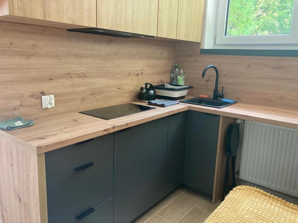 Lemon Apartment Ustron Luaran gambar